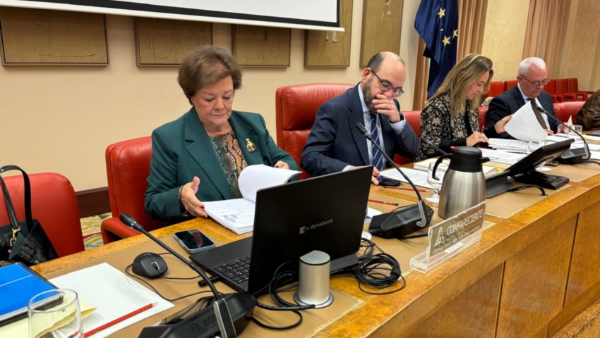 Comparecencia de la presidenta del Tribunal de Cuentas ante la Comisión Mixta Congreso Senado para las Relaciones con el Tribunal de Cuentas (07/10/20...