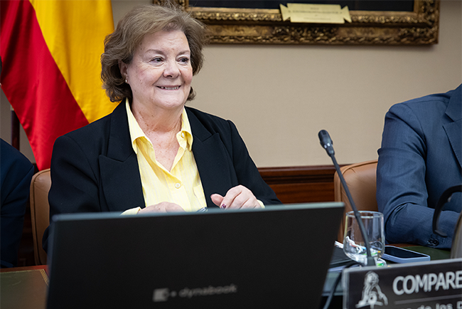 La presidenta del Tribunal de Cuentas presenta el resultado de siete informes de fiscalización y una moción ante la Comisión Mixta La presidenta del Tribunal de Cuentas presenta el resultado de siete informes de fiscalización y una moción ante la Comisión Mixta
