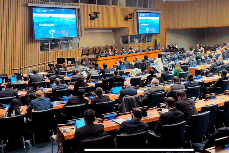 EUROSAI-ONU-2