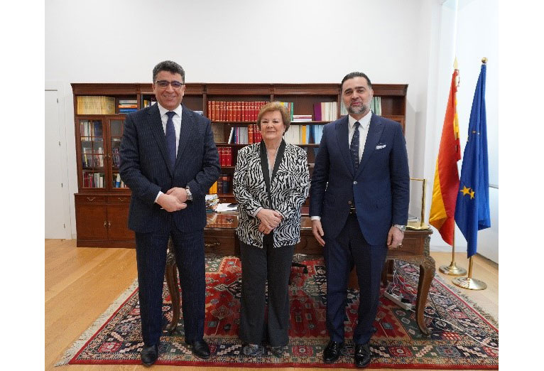 Auditor Libia