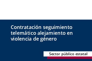 Informe de Fiscalización de la contratación y control del servicio integral del sistema de seguimiento por medios telemáticos de las medidas cautelares y de prohibición de aproximación en materia de violencia de género y de violencia sexual